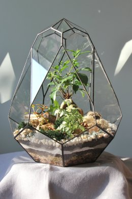 Florárium “Ametist”