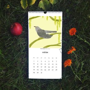 Nástěnný kalendář Ptáci 2023 | Markét ilustrace