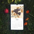 Nástěnný kalendář Ptáci 2023 | Markét ilustrace