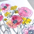 Akvarelovánky květinové