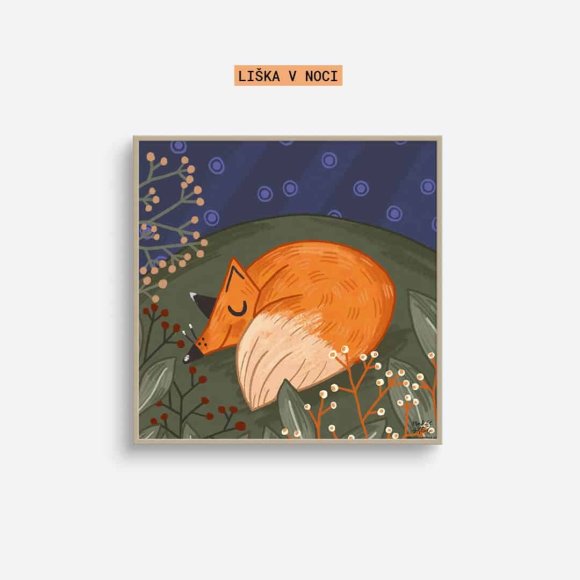 Liška v noci (čtverec) | Markét ilustrace