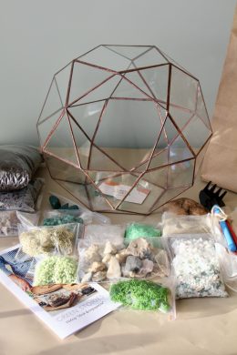DIY sada pro vytvoření florária "Mars" a sukulenty