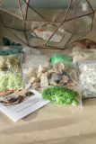 DIY sada pro vytvoření florária "Mars" a sukulenty