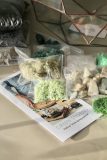 DIY sada pro vytvoření florária "Mars" a sukulenty