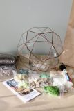 DIY sada pro vytvoření florária "Mars" a sukulenty