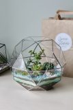 DIY sada pro vytvoření florária "Mars" a sukulenty