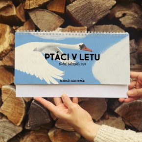 Stolní kalendář 2024 – Ptáci v letu