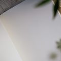 DSC03897.jpg