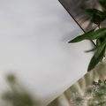 DSC03872.jpg
