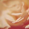 photo-output.jpeg