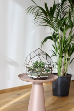 Florárium "Mars"