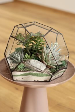 Florárium "Dome"